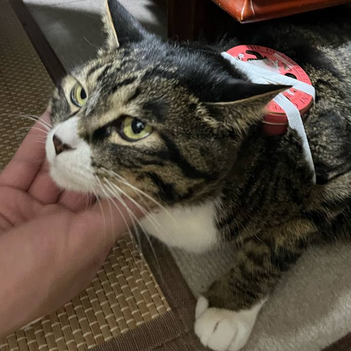 2afb5e46 c4b7 47ae bdc5 060e3c22d3f4 1771027755828