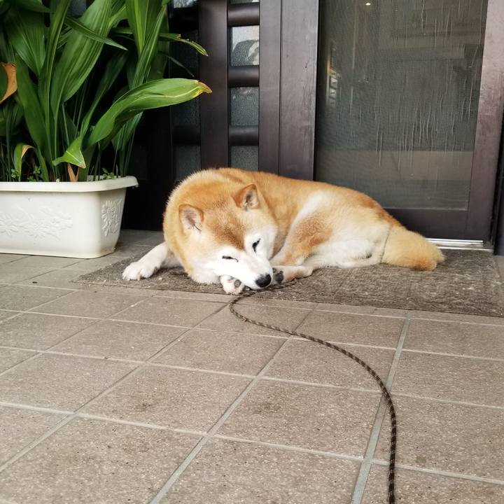 2afb6adc 00f9 40f3 b004 e1758eba7ae6 1719616765803