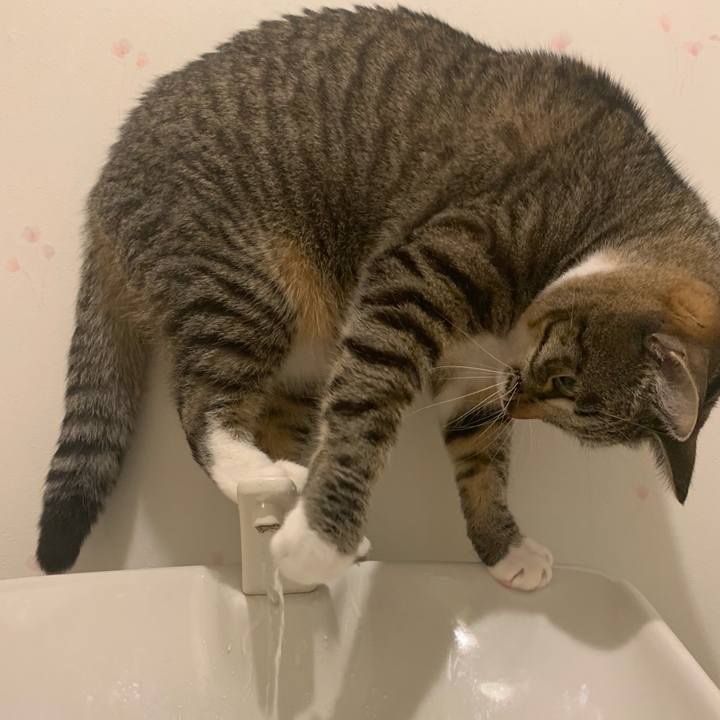 2afb8f79 f8c6 4dd2 b528 47d6e8353fdf 1547943803819