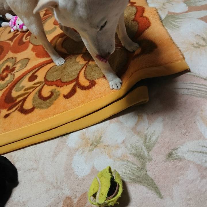 2afbdffd 9b2d 440f 8a14 85e474b0a719 1512720995995