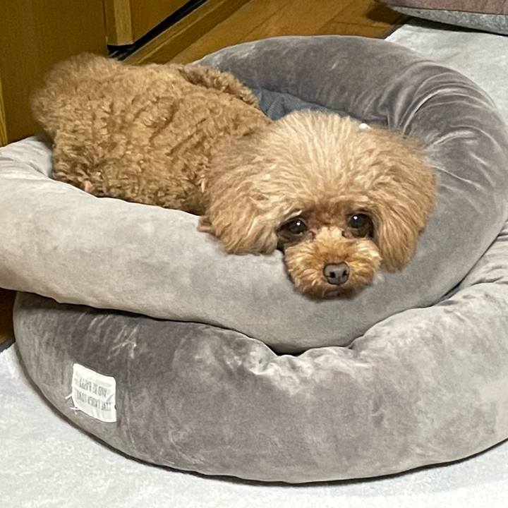 2afbe9be 3884 43b5 aa28 1db88dcb6c36 1651572084289