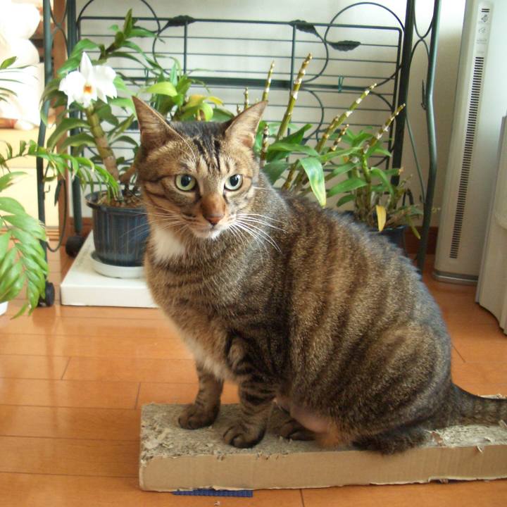 2afbf362 0732 4418 bd5f bcd7251a228d 1544922097397