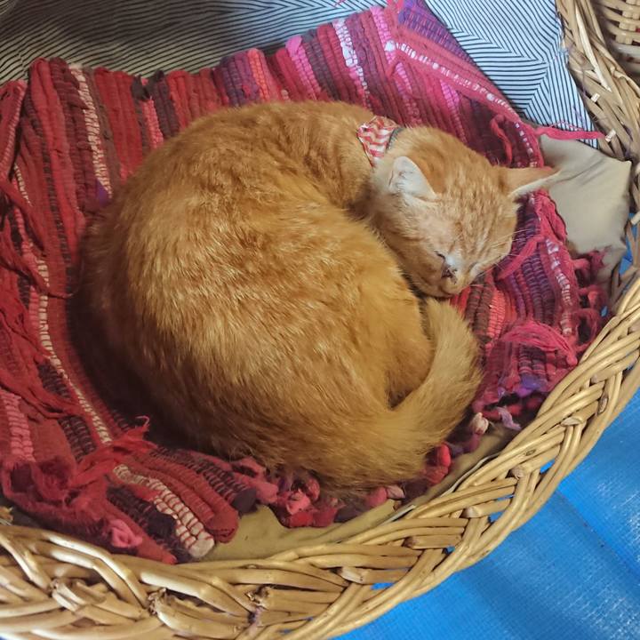 2afc0353 f5a2 45e4 97ba 96088140bedb 1558789399755