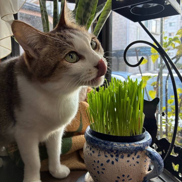 2afc143c 5341 467e ab06 d48b3d806f8d 1762672235564