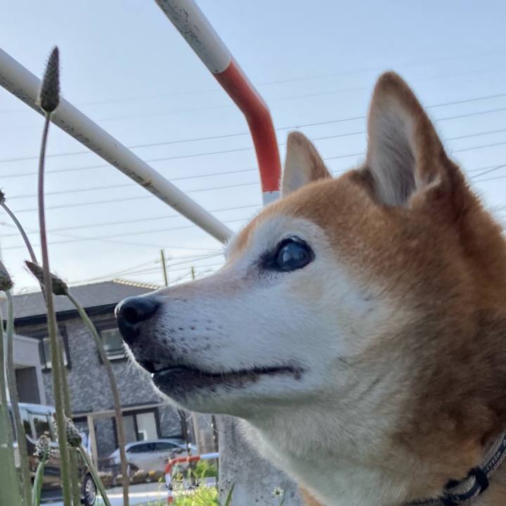 2afc16f3 c073 4f85 8c44 d67e3c39731c 1713083081197