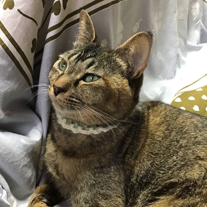 2afc2345 0811 4bc1 a410 5f14cd1d71d8 1649066581140