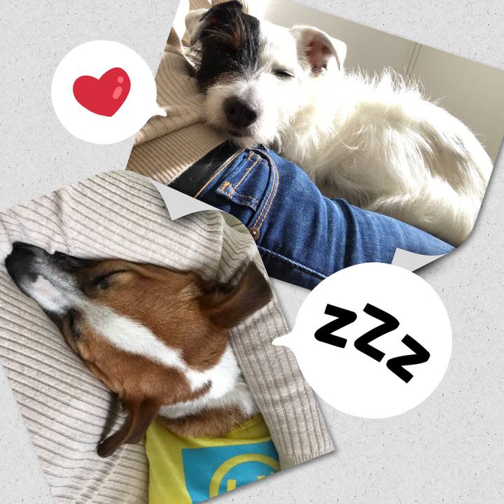 2afc4564 4871 408b bffd ac0b4294e84f 1522997843171