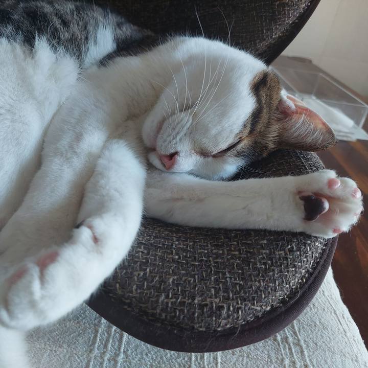 2afc5acd 5163 4637 81e5 4d43f31b9b68 1694653979094