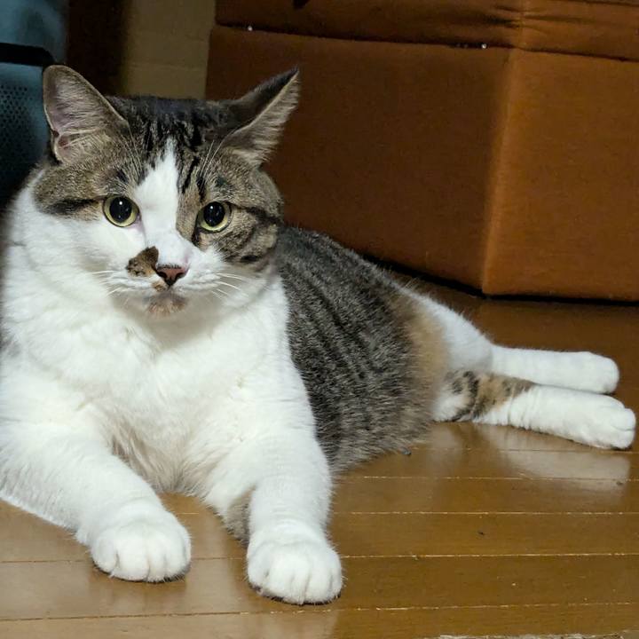 2afc66fa e80f 4a31 a93f b748f95511e6 1723555309468