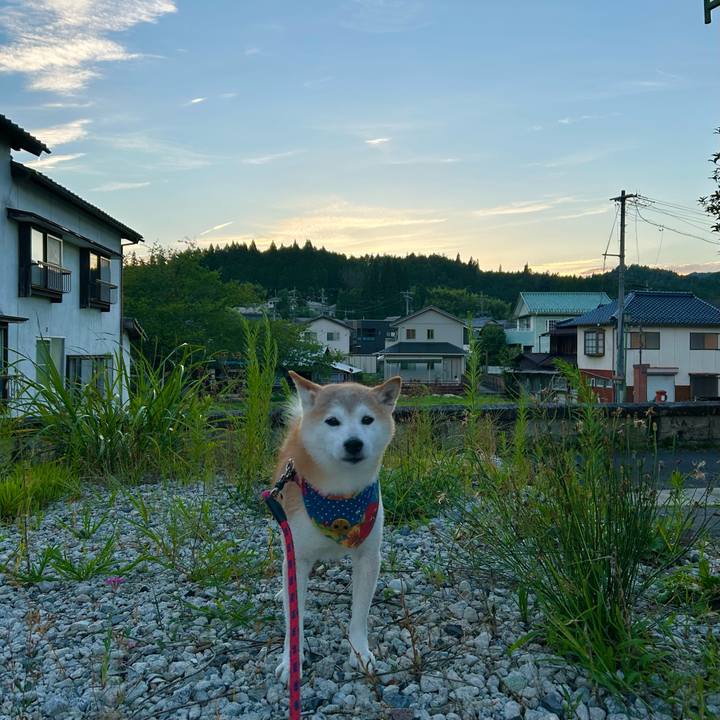 2afc952f 7856 4e00 885c be97899dd0f3 1754565253941