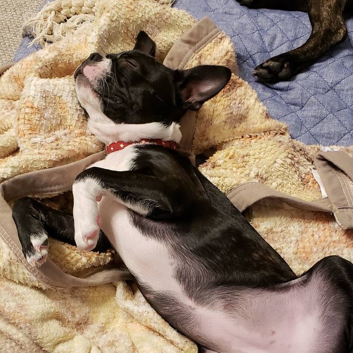 2afc9bb3 32da 4021 841a d8598e7c27f8 1543989119964