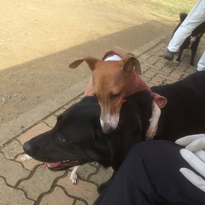 2afcb850 f0ea 4265 a762 14f9b67a3282 1526303389145