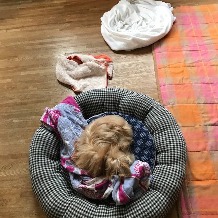 2afce2e9 0284 4875 9d48 2e923341abf6 1538783964534