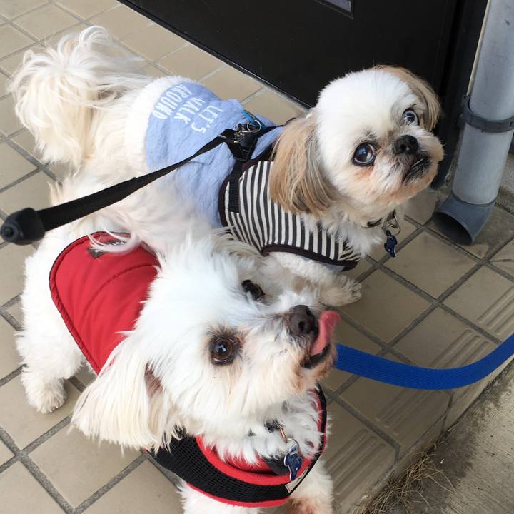 2afd0ed6 b35f 498e 9101 db826bdfc982 1646453747054