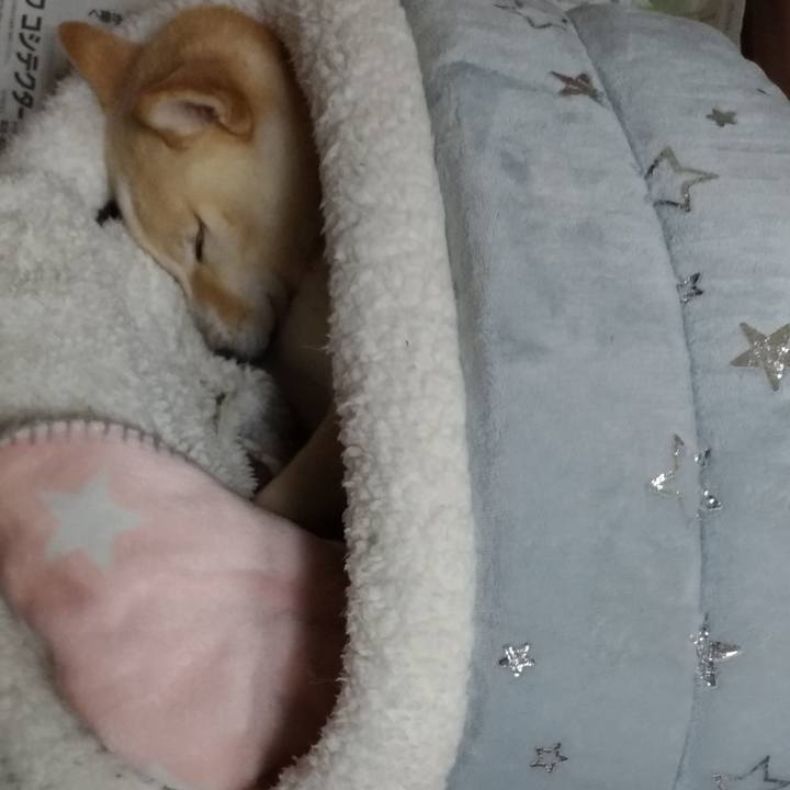 2afd29e0 f9a8 4fad 9258 547472b69df0 1602854610826