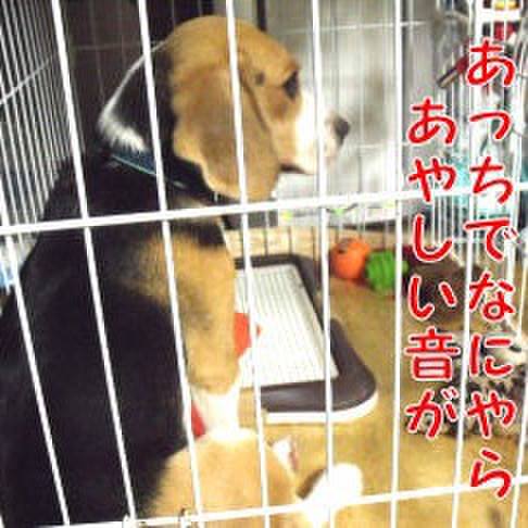 2afd2b70 be89 4d6b 8b5b 9861238b212f 1692672717687