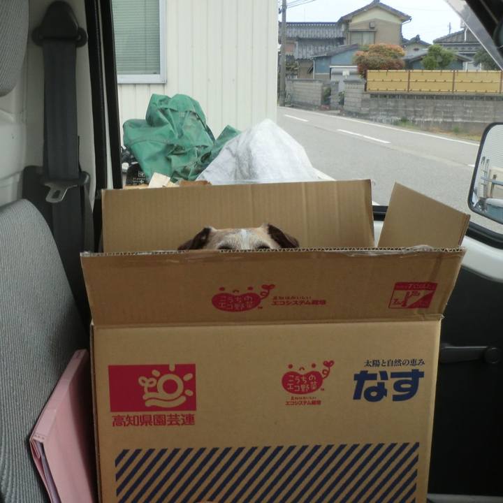 2afd4800 b3fb 47be a1db ef10c5601d18 1525261925196