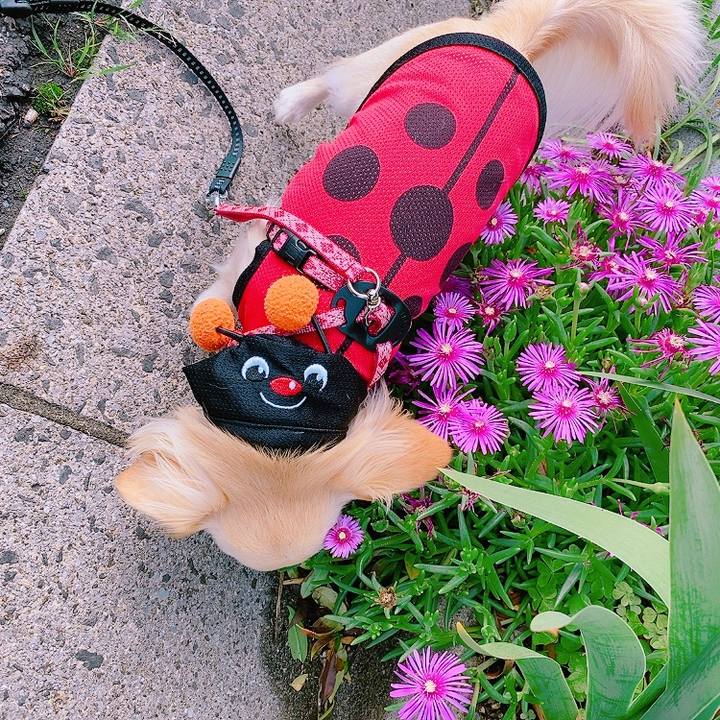 2afd7763 e348 44a9 9ecd 30a75ad2b89a 1621578069724