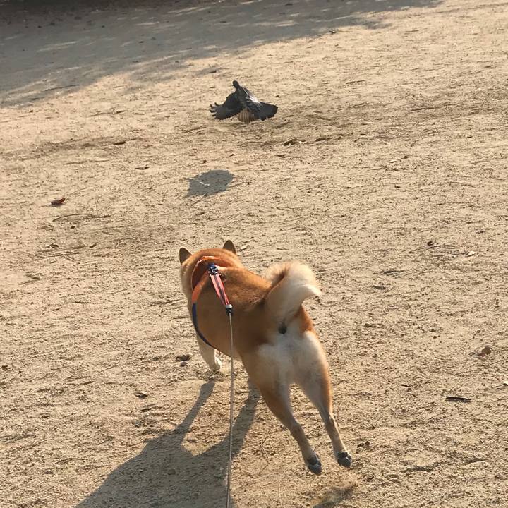 2afde809 9478 4992 a859 6ee9c5365887 1509800018653