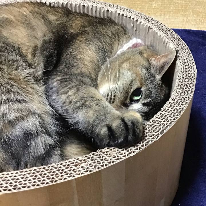 2afe08b1 e972 4f56 8096 04bbb41bb897 1712574538825