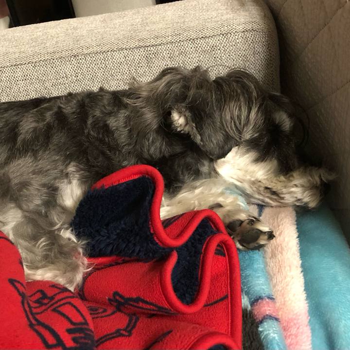 2afe4128 5933 448f 9cff 7f0f34e53505 1698933178898