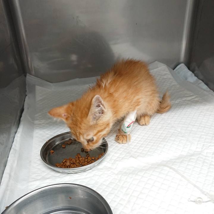 2afe54c7 6183 489b 9680 09878b45fdfb 1627551677164