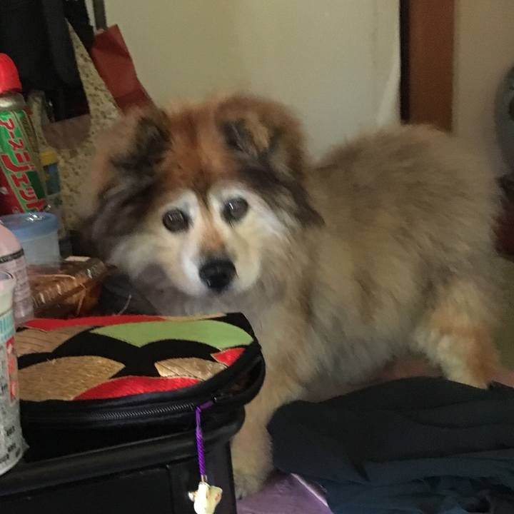 2afe564e dfec 4019 8cd7 b1168a2386c3 1561814878793