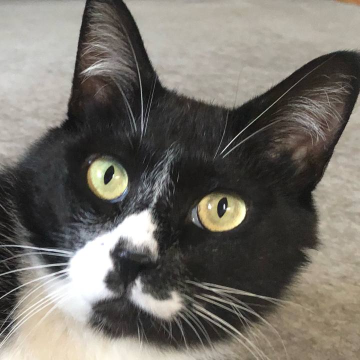 2afe88eb c41a 4af0 a045 b834d94d9858 1661593441705