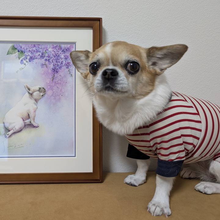 2afedd9b ca50 4b67 adea 5476f1b81bcb 1744102640203