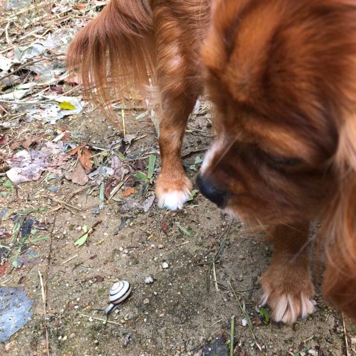 2afedd9e 5087 415d acdc b41a06735a6b 1602370677149