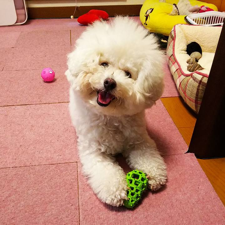 2aff14f0 6315 424f 89f5 91dc93686003 1561287046357