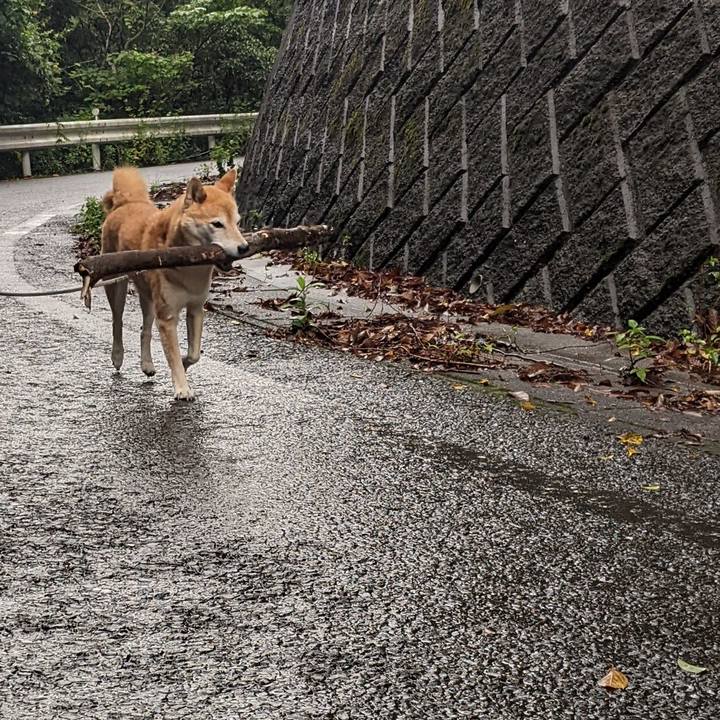 2aff30af 42c1 4ff8 a6f2 84beaca0924a 1696392808075