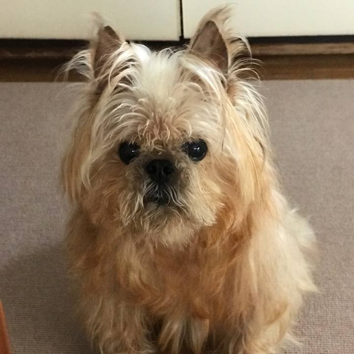 2aff4bf8 5f3f 4bcc b6b4 89b6d26c96a7 1588829002498