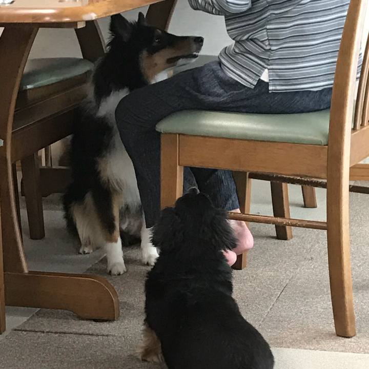 2aff4f78 996f 4f8c a362 4c0dac6f83c2 1536360067112