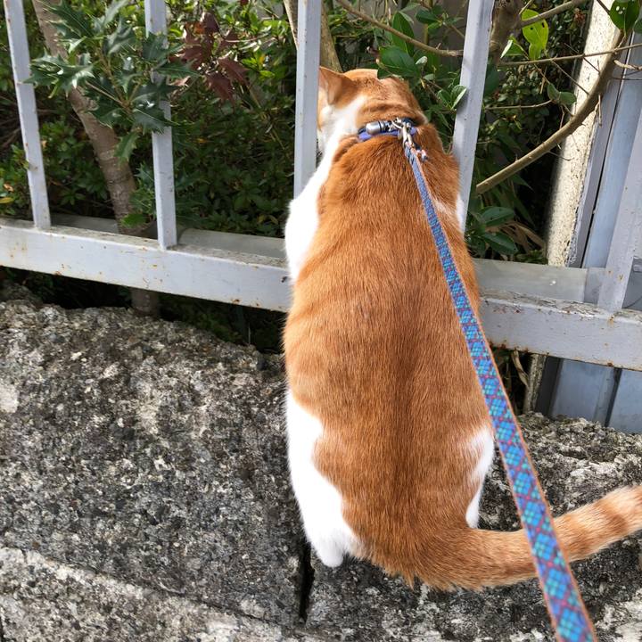 2aff5cd3 9e11 42a6 bc0f 0a26a2b831ed 1540788621094