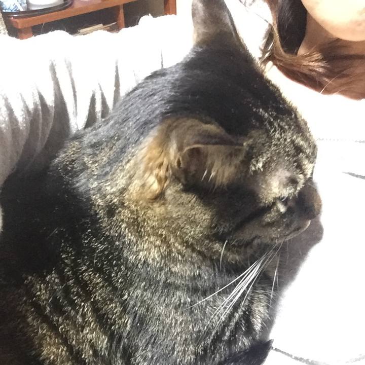 2aff8672 b4dd 4bdf a491 3249752a6bc1 1511873458794