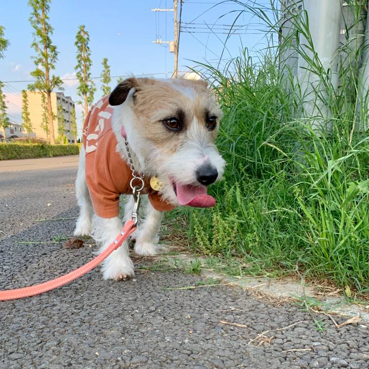 2aff9315 743f 497f 99f9 948c5aca9fa7 1621776238138