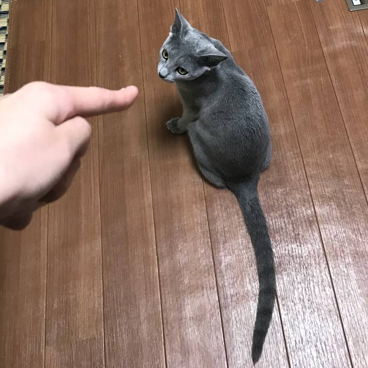 2aff9690 a56b 4255 82f4 78e20c075fa5 1513117992270