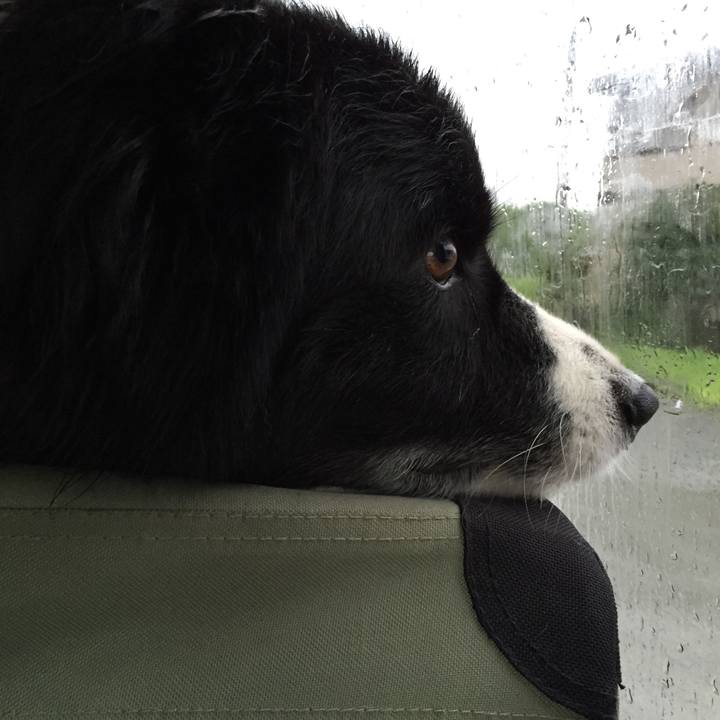 2affcca2 821f 417e a74a bdfcc5ee1990 1530782329351