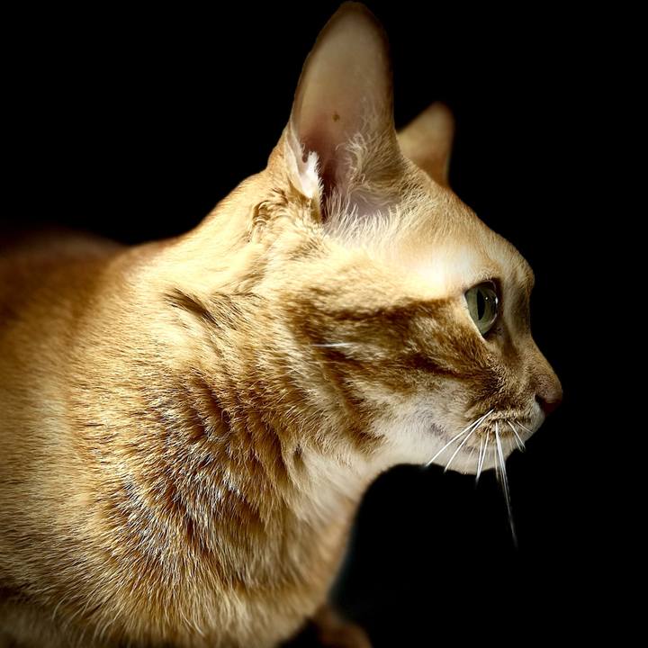 2affda97 2130 4983 9284 a6d065f8fd7a 1716329648554