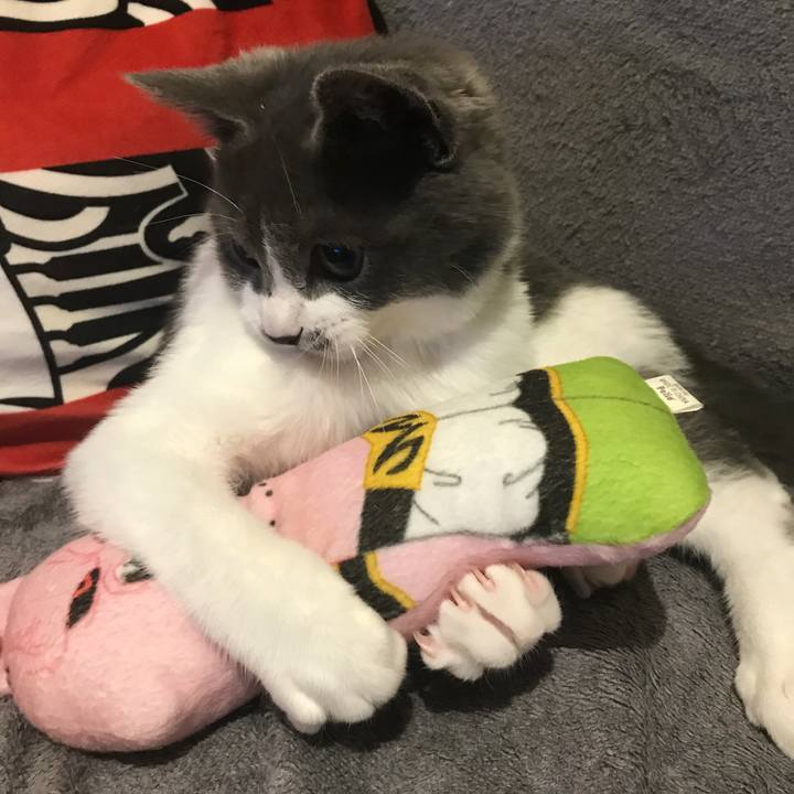 2b0013ea 27e7 437e b1f6 979794d6d2a8 1628225920136