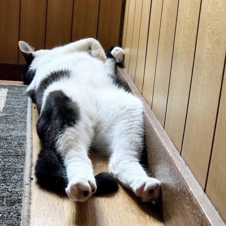 2b00402b 6e23 4bd8 86fa 3a2024cd6092 1533083075155