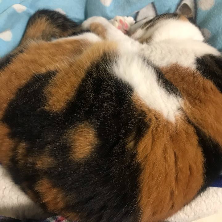 2b0048d1 22b2 4c57 9ad8 648c82ce50a3 1602165278871