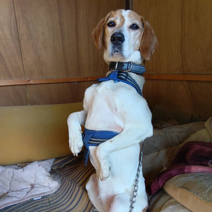 2b004b68 9265 4ec0 81ec 0b4e22806f94 1745926465664