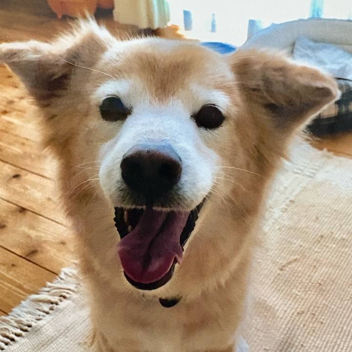 2b005326 f1db 4bf2 91f7 150c8c9f25d4 1758955707227