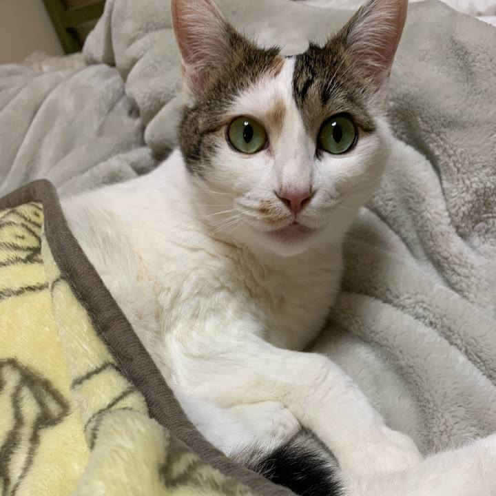 2b007277 c60f 442b 80c4 101103531387 1648133780755