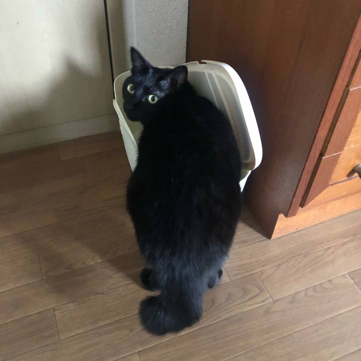 2b007306 5192 40cc a181 bce85e9a2318 1643172930323