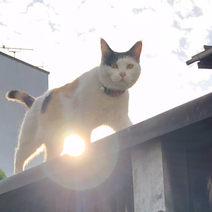 2b008e66 56cc 4ac2 824e 1ae643886662 1619043563635