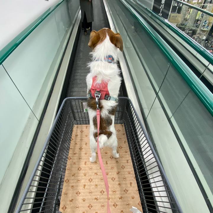 2b00a7b8 f61e 48a8 90c8 6420e0d838fd 1734874462093