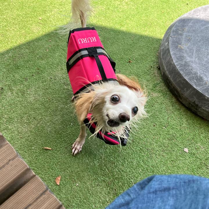 2b00f09e d2c5 4181 8fbb d760689c673f 1726736319049